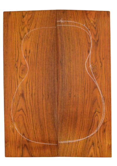 Cocobolo GuitarBack2pcATC L23992.G.038