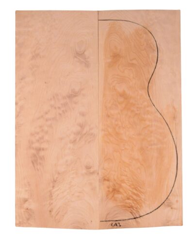 Maple (Soft) GuitarBack2pcATC M2840.G.015