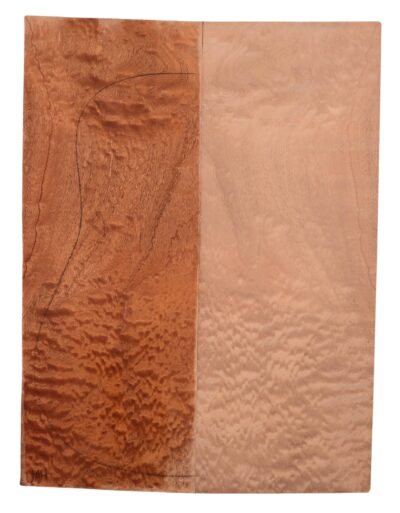 Sapele GuitarBack2pcATC M3147.G.036