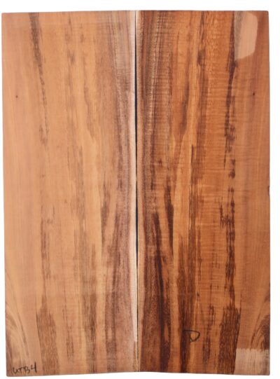 Koa UkeBack2pcATC M15509.G.248