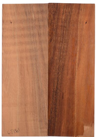 Koa UkeBack2pcATC M15509.G.249
