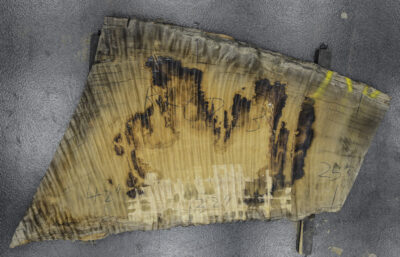 Eucalyptus Board BA6813