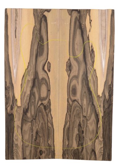 Ziricote GuitarSolidBodyTopATC ZIRSHELF.G.170