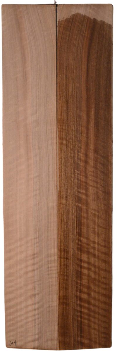 Walnut (English) GuitarSides2pc LA3892.G.014