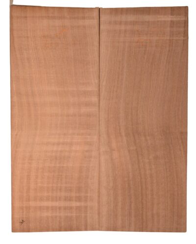 Sapele GuitarBack2pcATC SAPL3.G.033