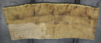 Blackwood (Tasmanian) Board BD02089
