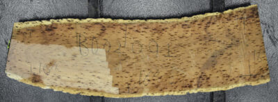 Blackwood (Tasmanian) Board BD02091