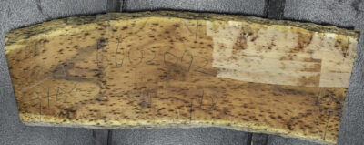 Blackwood (Tasmanian) Board BD02092