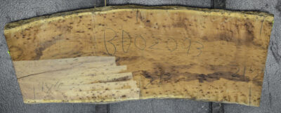 Blackwood (Tasmanian) Board BD02093