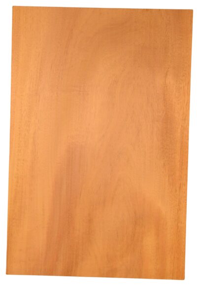 Mahogany (Genuine) GuitarSolidBodyBilletATC L26290.G.013