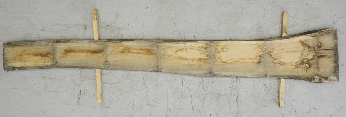 Butternut Board BA5576