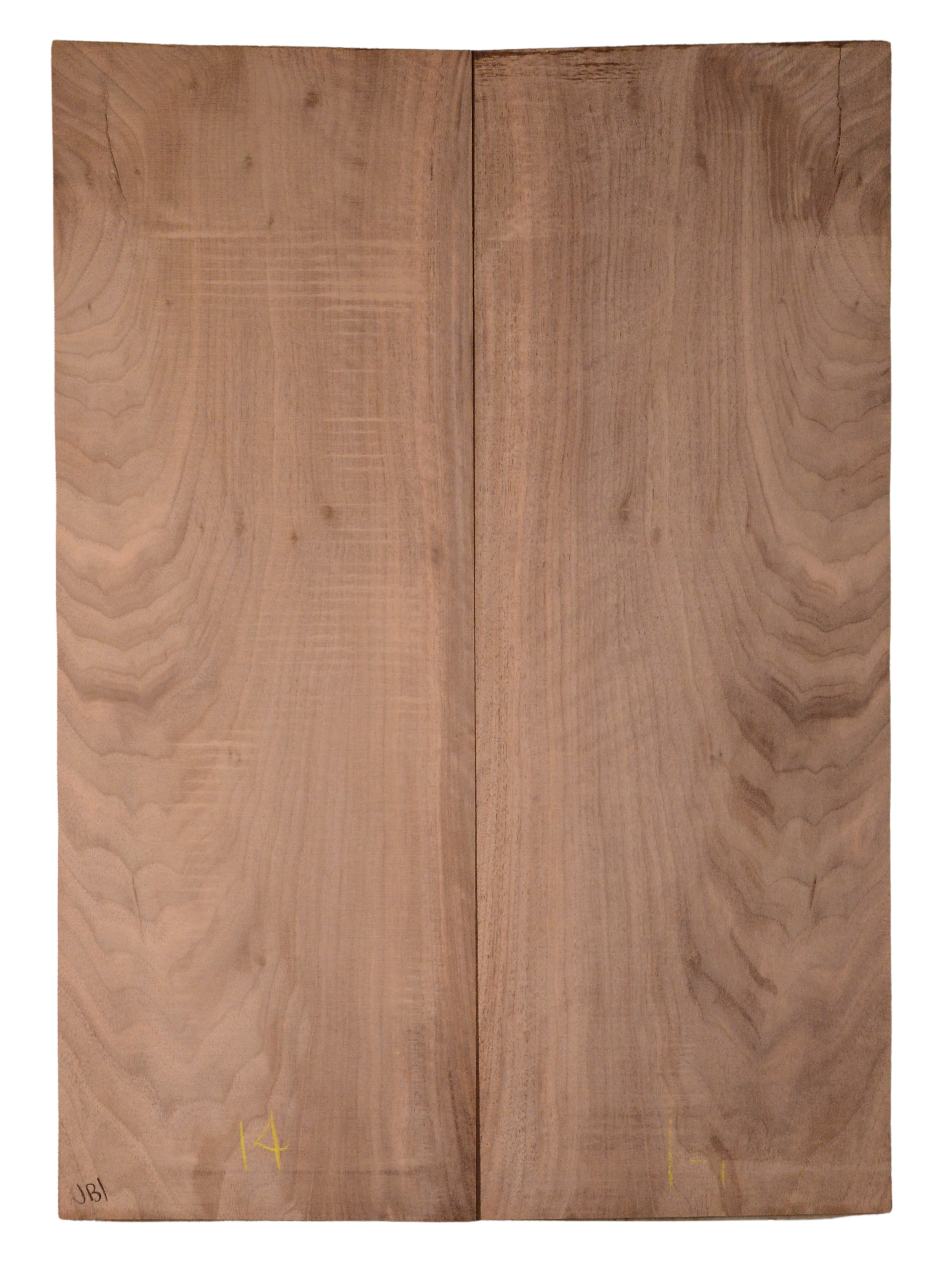 Walnut (English) GuitarBack2pcATC CHAMPTR.G.007