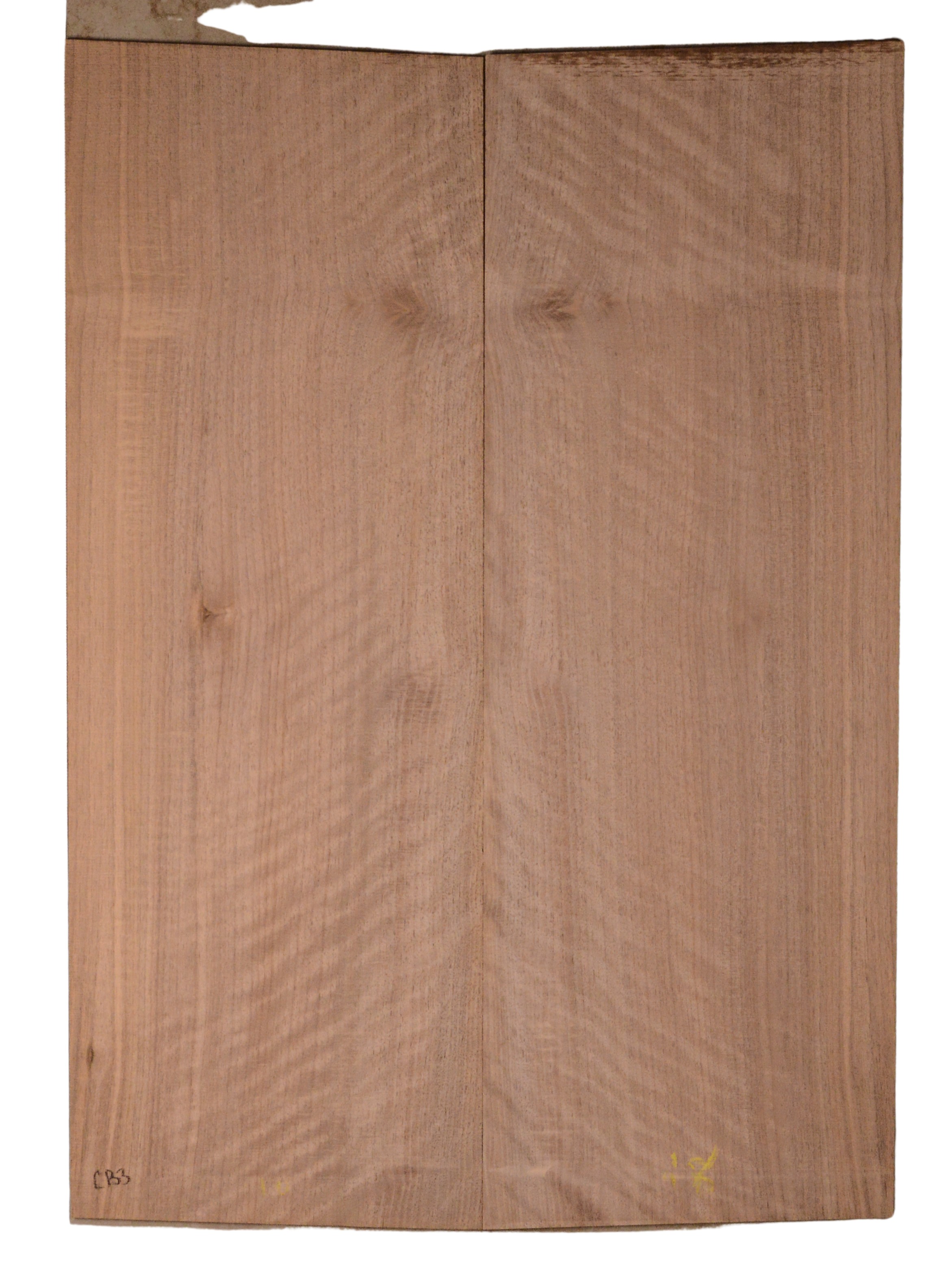 Walnut (English) GuitarBack2pcATC CHAMPTR.G.031
