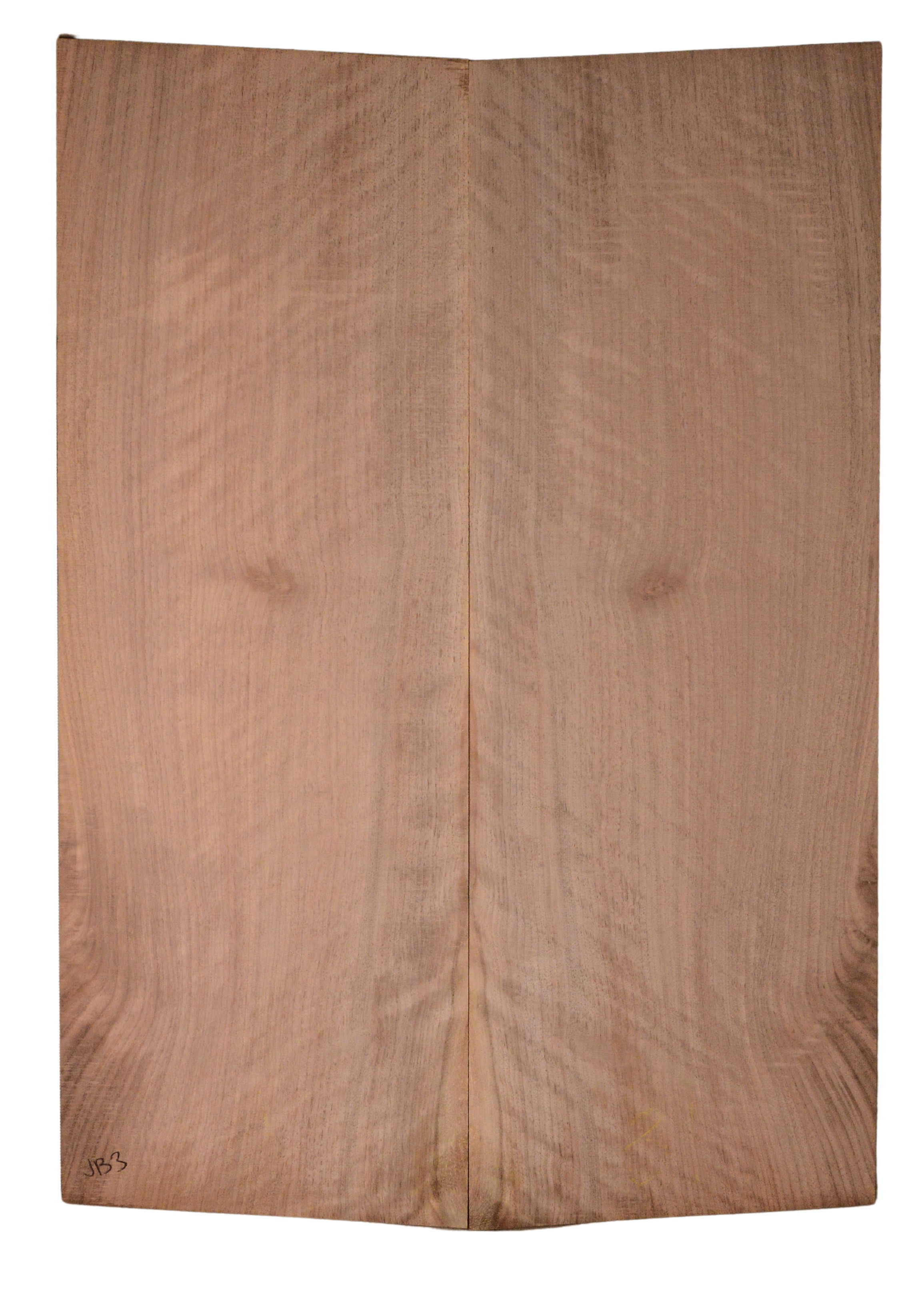 Walnut (English) GuitarBack2pcATC CHAMPTR.G.036