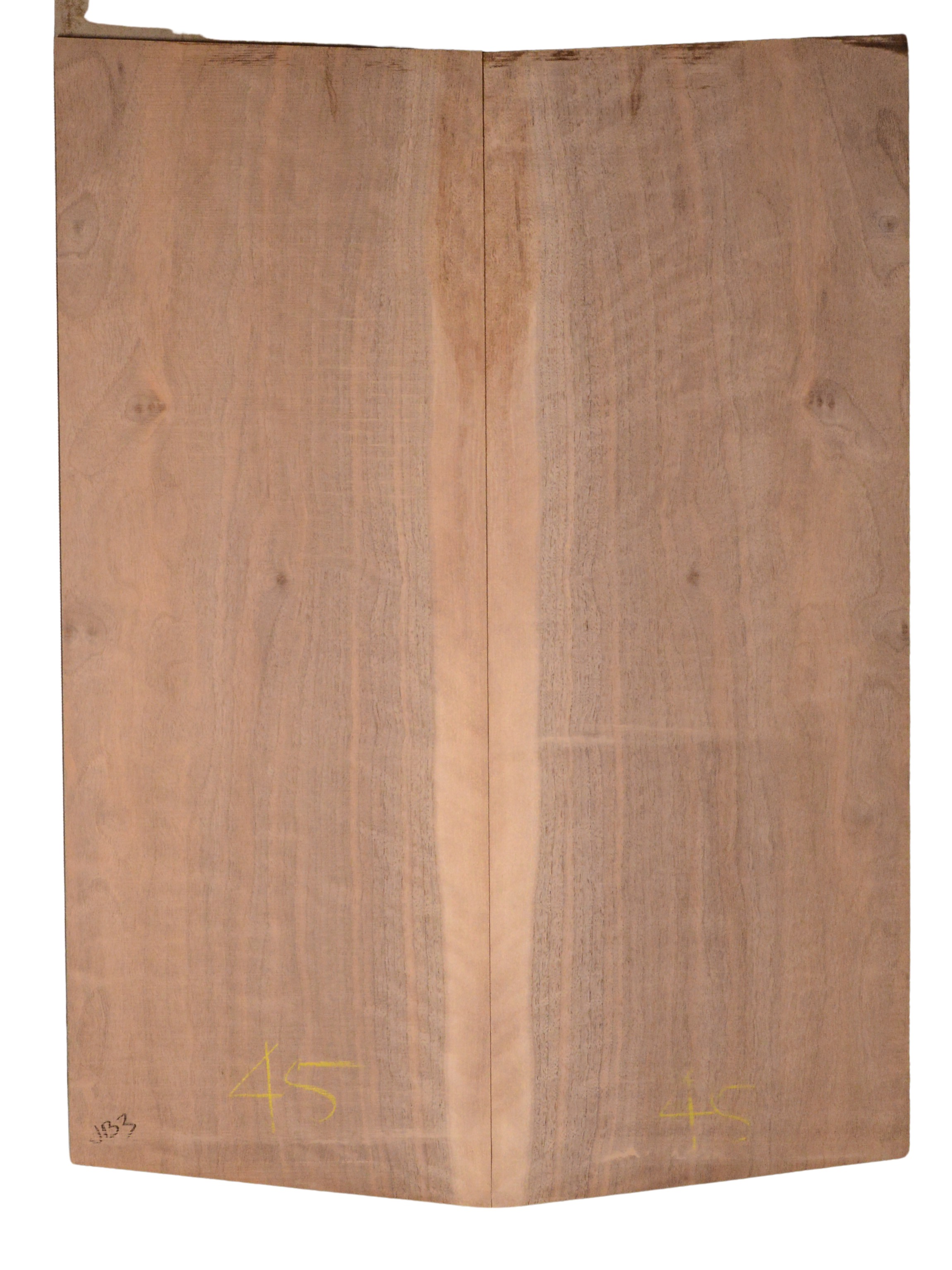 Walnut (English) GuitarBack2pcATC CHAMPTR.G.037