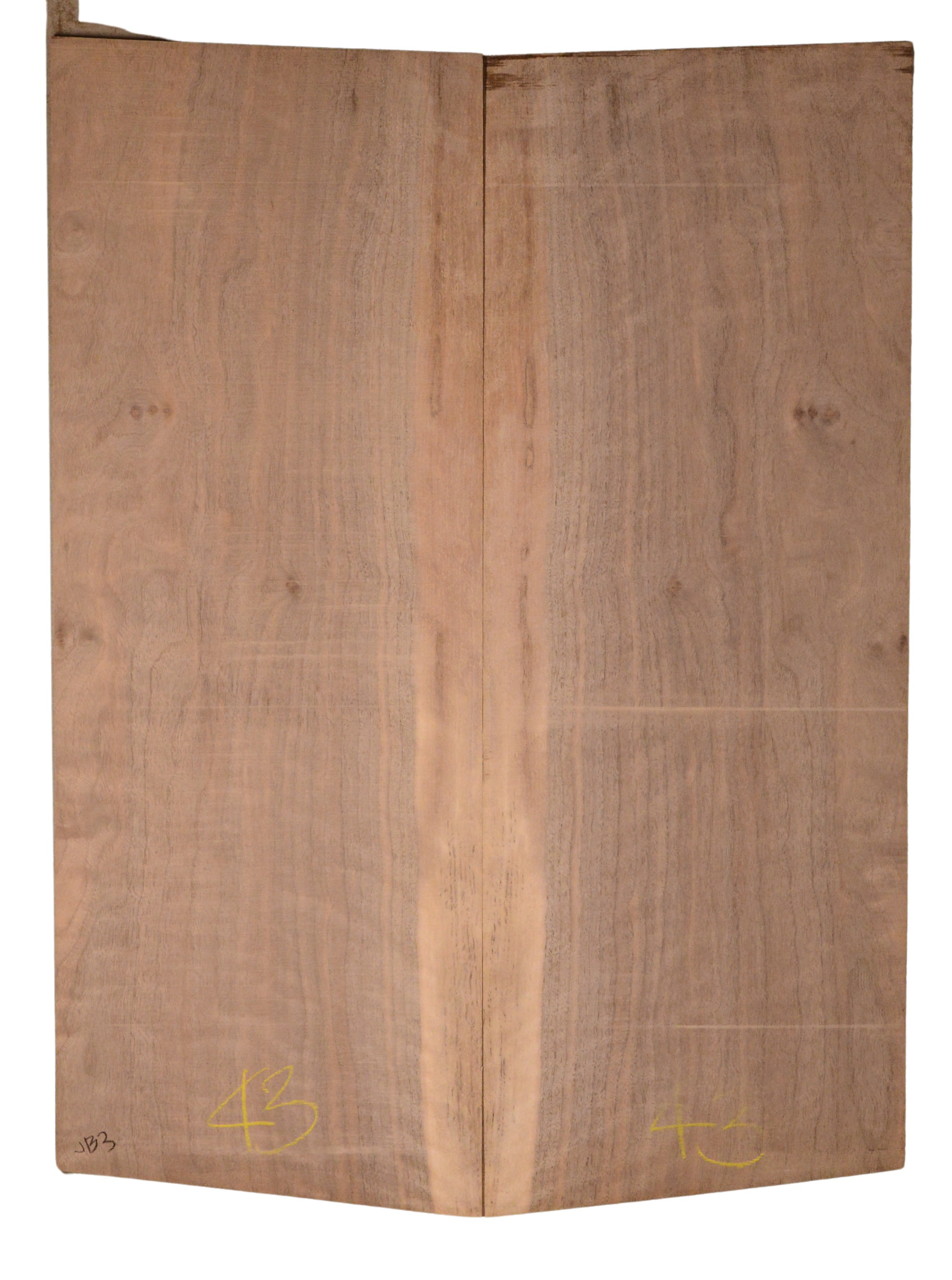 Walnut (English) GuitarBack2pcATC CHAMPTR.G.038