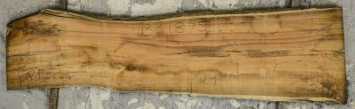 Koa Board BC1875