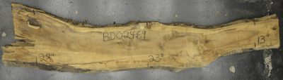 Myrtle (American) Board BD02469