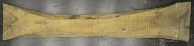 Walnut (European) Board BD03966