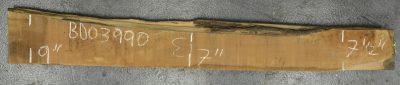 Pear (European) Board BD03990