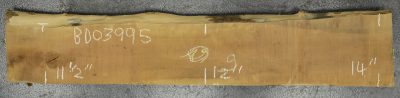 Pear (European) Board BD03995
