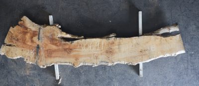 Myrtle (Tasmanian) Board BA6691