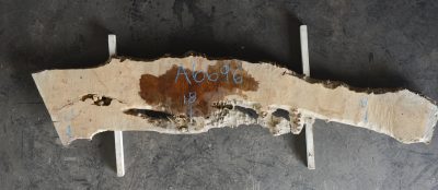 Myrtle (Tasmanian) Board BA6696